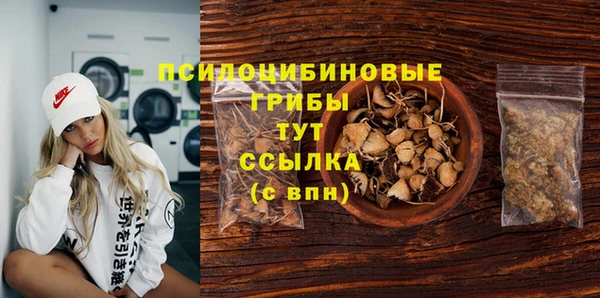 МДПВ Алексеевка