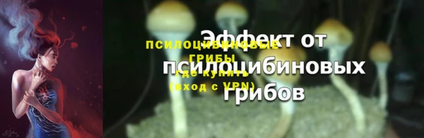 мяу мяу мука Алзамай